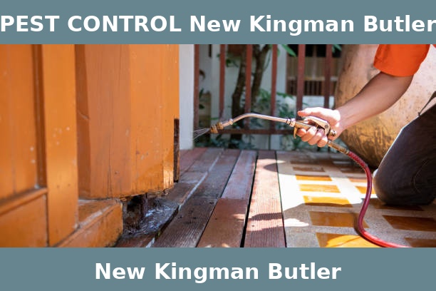 PEST CONTROL New Kingman Butler